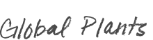 Global Plants